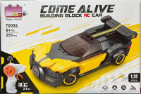 251 PRÇ BUILDING BLOCK RC CAR 1/20 UZK