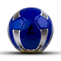 DİKİŞLİ HENKBOOL TOPU