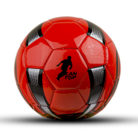 DİKİŞLİ HENKBOOL TOPU