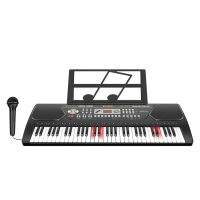 ELEKTRO 61 TUŞLU PİYANO ORG