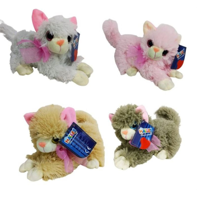 HALLEY İRİ GÖZLÜ YATAN KEDİ