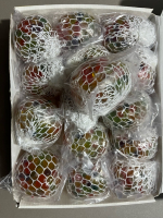 İTHAL BEYİN 15 Lİ