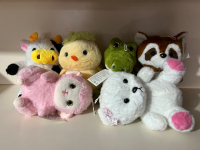 PELÜŞ KARMA MODEL AYICIKLAR