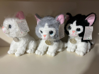 PELÜŞ KEDİ KARMA RENK