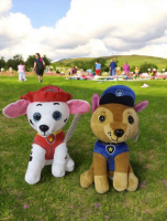 PELÜŞ PAW-PETROL KÖPEK