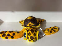 PELÜŞ RENKLİ KAPLUNBAĞA