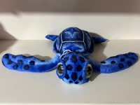 PELÜŞ RENKLİ KAPLUNBAĞA