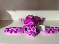 PELÜŞ RENKLİ KAPLUNBAĞA