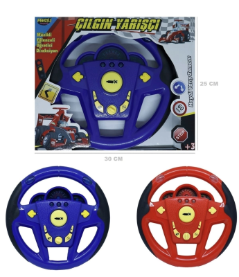 PİLLİ BÜYÜK DİREKSİYON ÇOK FANKSİYON