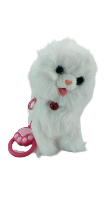 PİLLİ KABLOLU YÜRÜYEN KEDİ