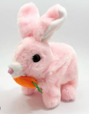 PİLLİ TAVŞAN HAVUÇLU