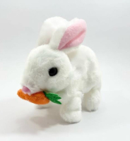 PİLLİ TAVŞAN HAVUÇLU