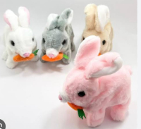 PİLLİ TAVŞAN HAVUÇLU