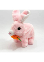 PİLLİ TAVŞAN HAVUÇLU